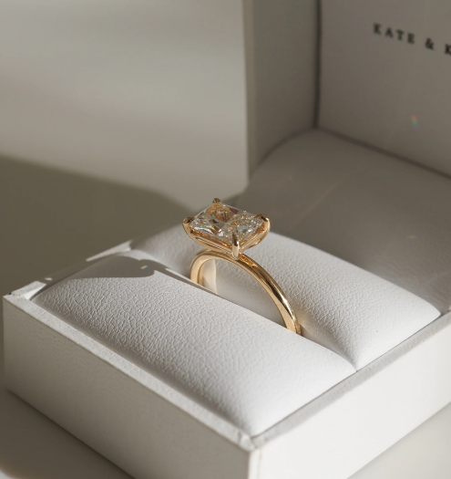 The Perfect Minimal Engagement Rings Every Women Will Love - TooFiftyToo